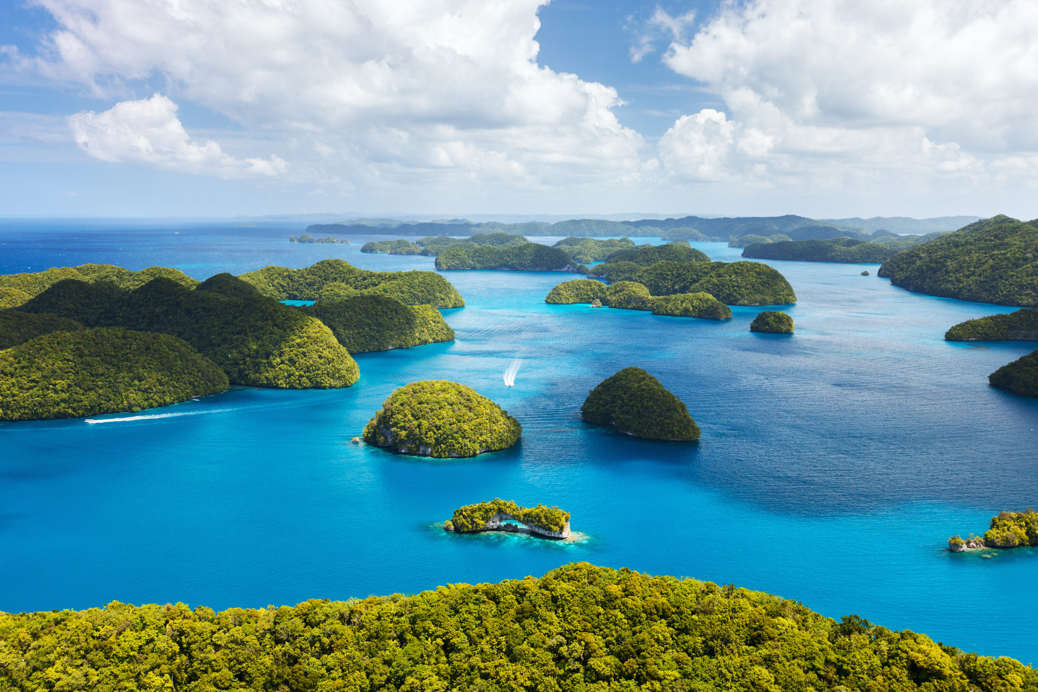 Palau raj na Pacyfiku pinesska pl